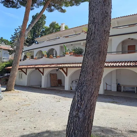 Virgin * Cefalù